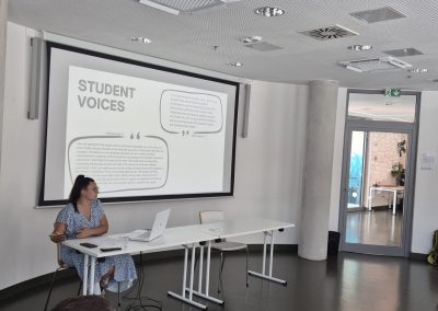 Political Economies of the Media Summer School