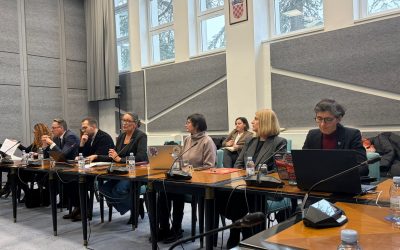 Voditelj Centra za sociologiju medija i digitalno društvo (CEMEDIG) sudjelovao na okruglom stolu Saborskog odbora