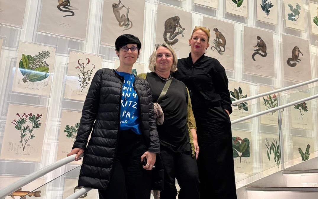 IRMO Researchers on a Study Visit to São Paulo